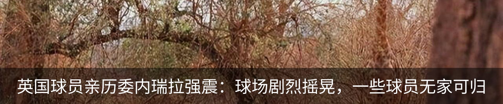 资讯动态