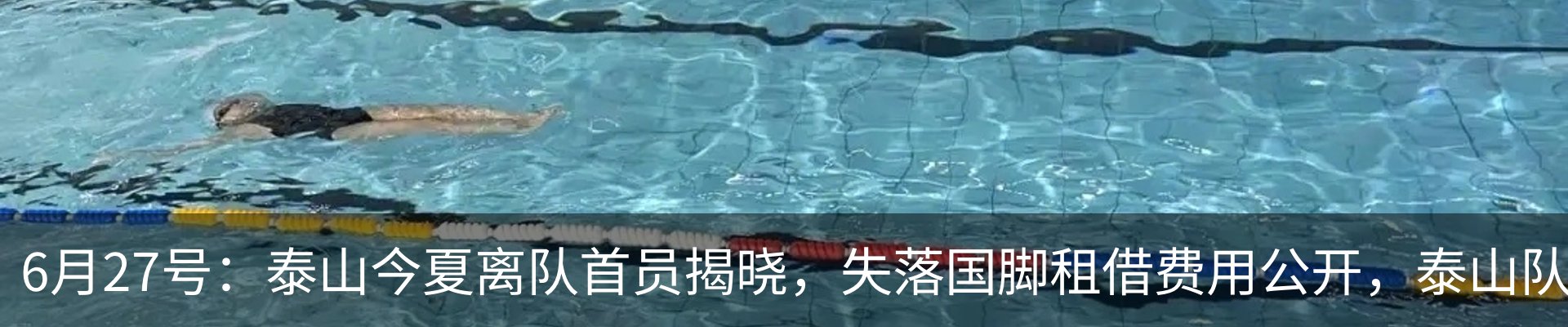 资讯动态